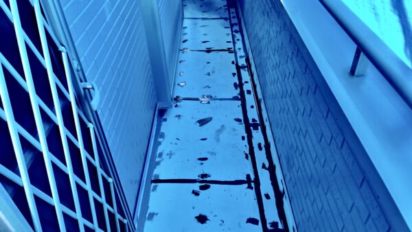 【施工実績】FRP防水工事_各務原市_K様邸