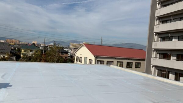 活動報告　12/14